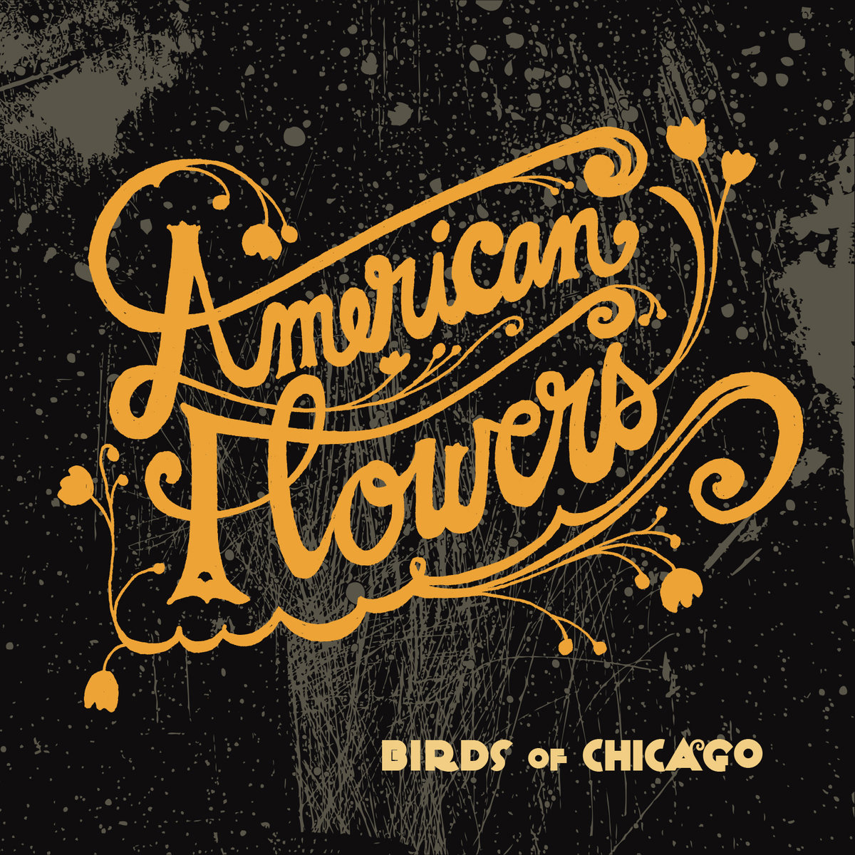 Birds Of Chicago - American Flowers