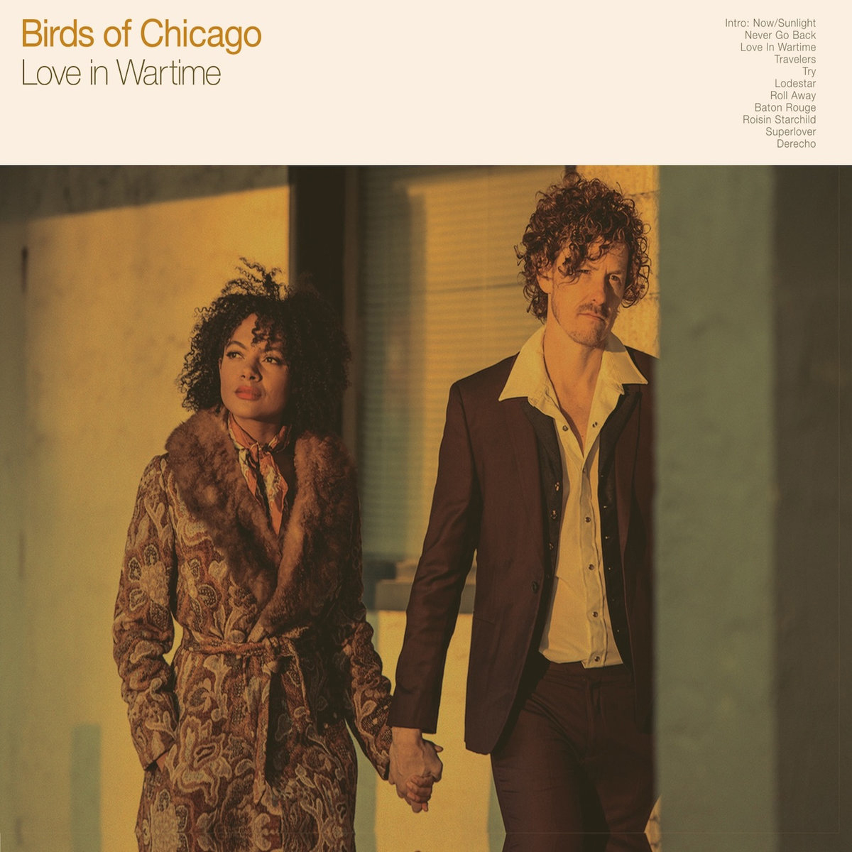Birds Of Chicago - Love In Wartime