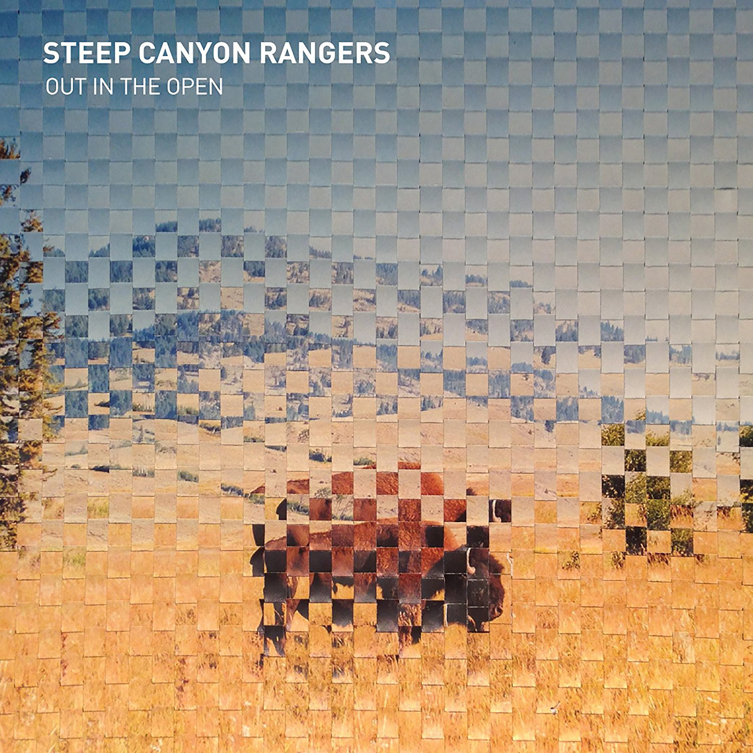 Steep Canyon Rangers - Out In The Open