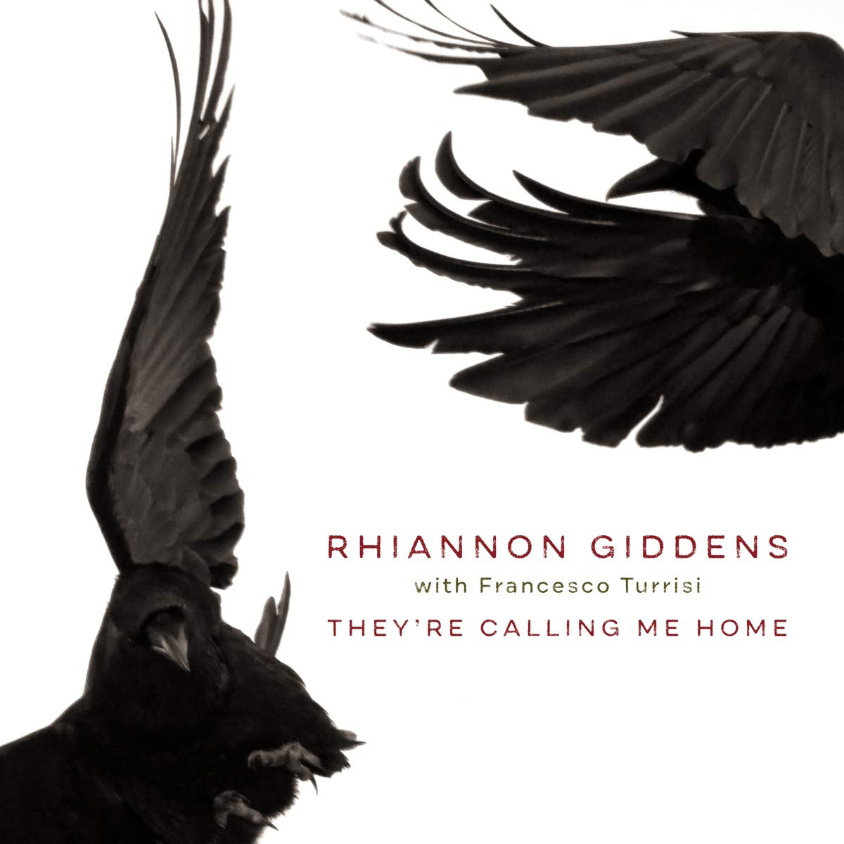 Read more about the article Rhiannon Giddens with Francesco Turrisi